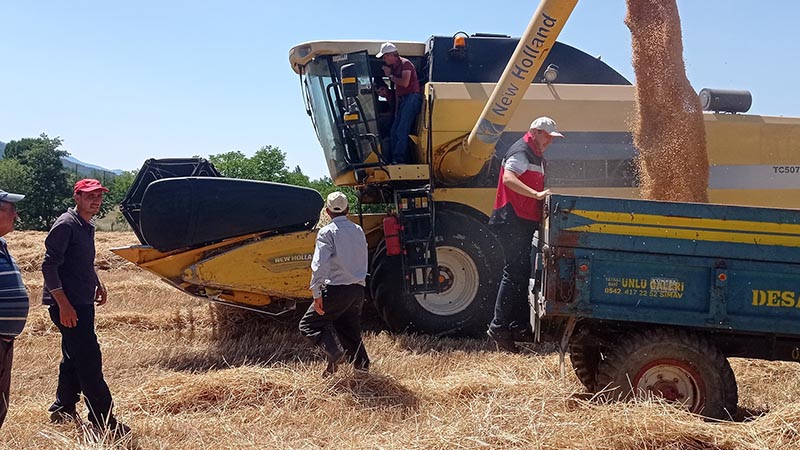 Kütahya'nın Simav ilçesinde devam