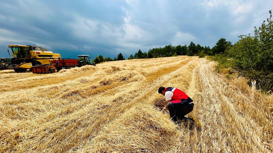 Kütahya’da ekipler çiftçi ve üreticileri denetledi