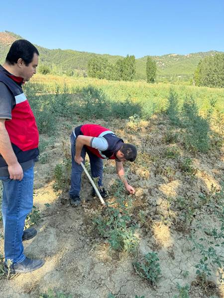 Kütahya’da ekipler çiftçi ve üreticileri denetledi