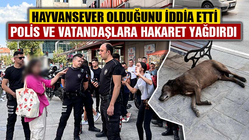 Kütahya'da köpek hakları savunucu