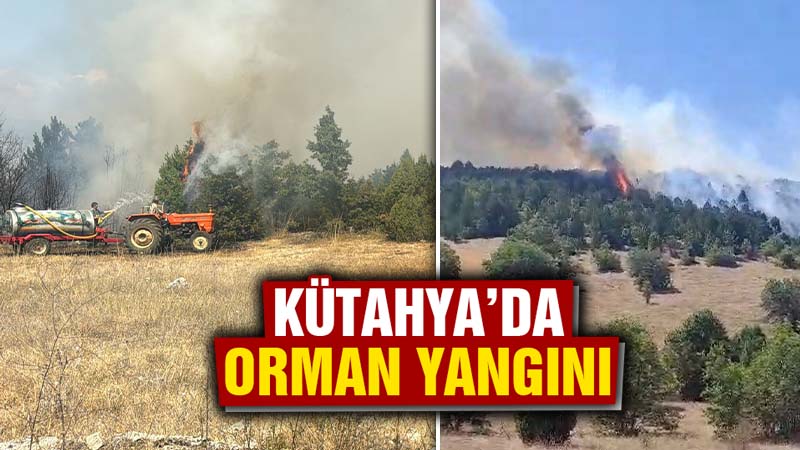 Kütahya’da ormanlık alanda çıkan yangına müdahale ediliyor