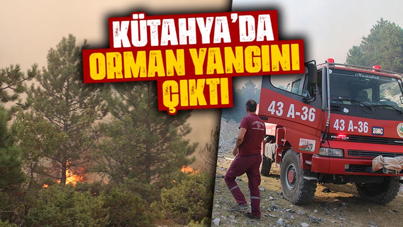 Kütahya’da ormanlık alanda çıkan yangına müdahale ediliyor