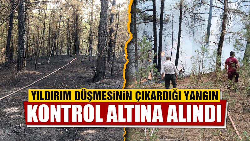 Kütahya'nın Tavşanlı ilçesinde yıldırım