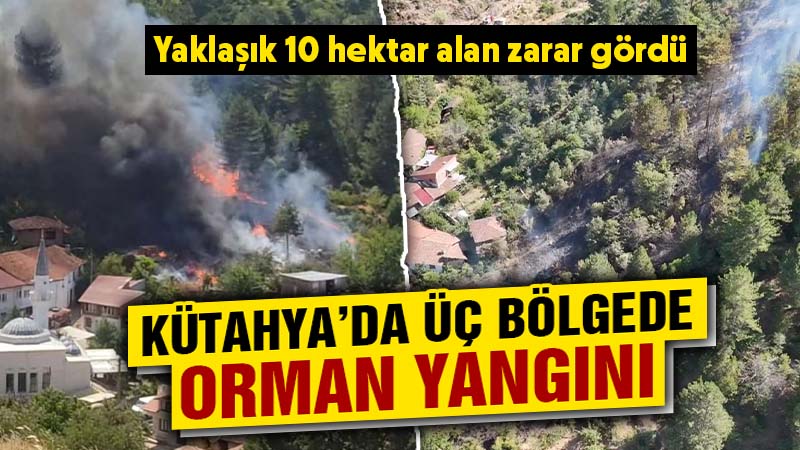 Kütahya’daki orman yangınları kontrol altında