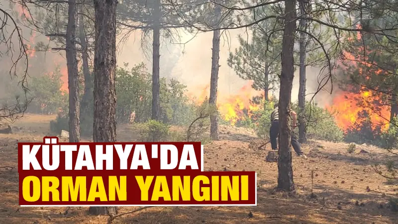 Kütahya’da orman yangını çıktı