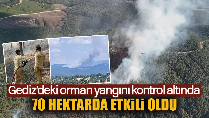 Kütahya'nın Gediz ilçesinde ormanlık