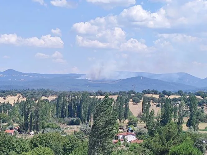 Kütahya'da ormanlık alanda çıkan yangına müdahale ediliyor