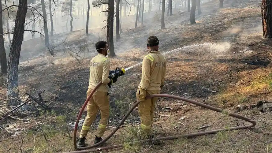 Kütahya'da ormanlık alanda çıkan yangına müdahale ediliyor