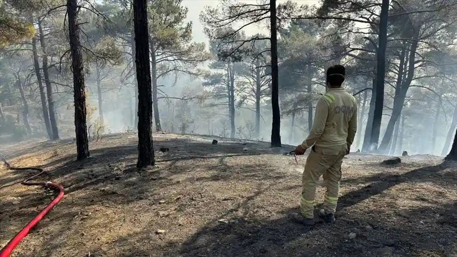 Kütahya'da ormanlık alanda çıkan yangına müdahale ediliyor