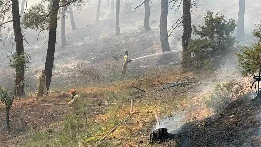 Kütahya'da ormanlık alanda çıkan yangına müdahale ediliyor