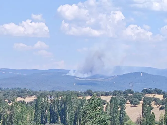 Kütahya'da ormanlık alanda çıkan yangına müdahale ediliyor