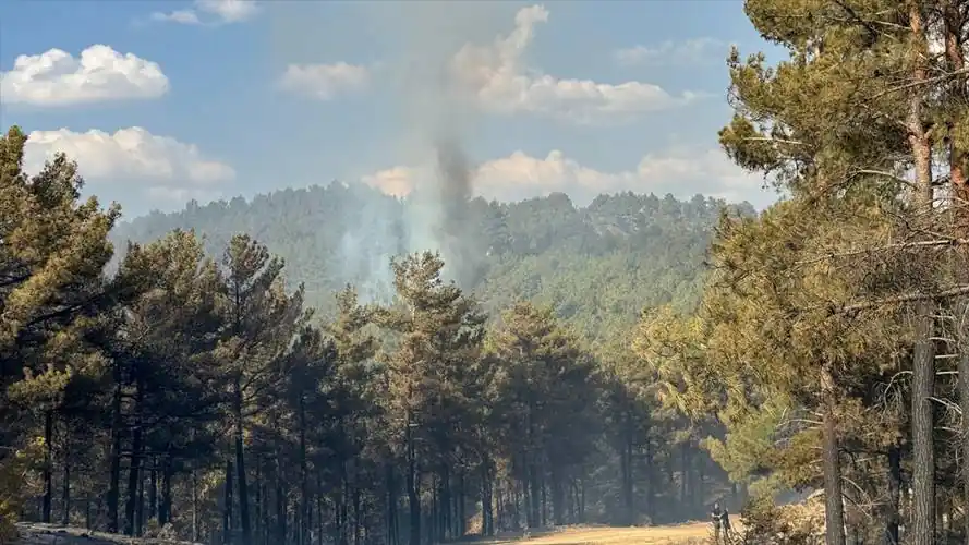 Kütahya'da ormanlık alanda çıkan yangına müdahale ediliyor