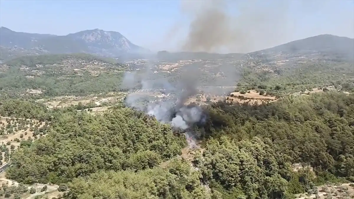 Muğla Milas’da orman yangını çıktı