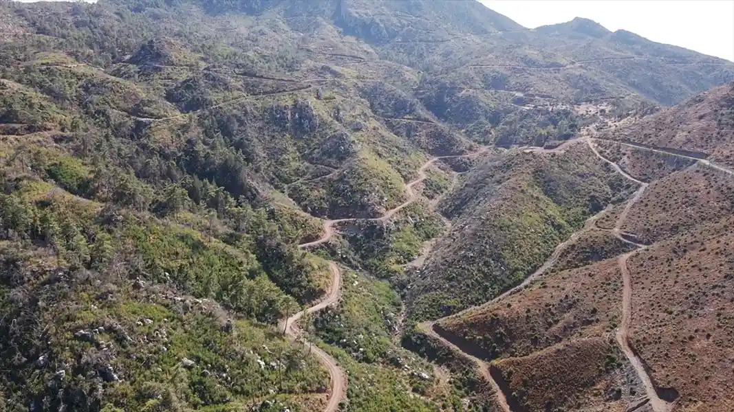 Muğla’da yanan ormanlık alanlar yeniden yeşeriyor