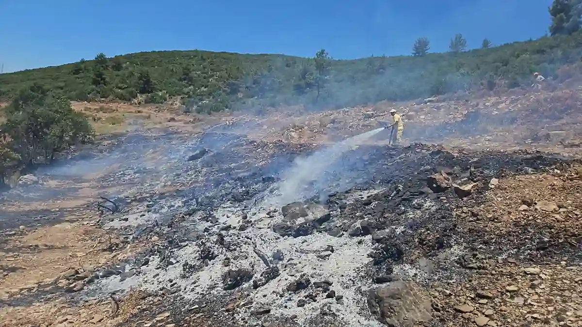 Muğla’da zirai alanda çıkan yangın ormana sıçramadan söndürüldü