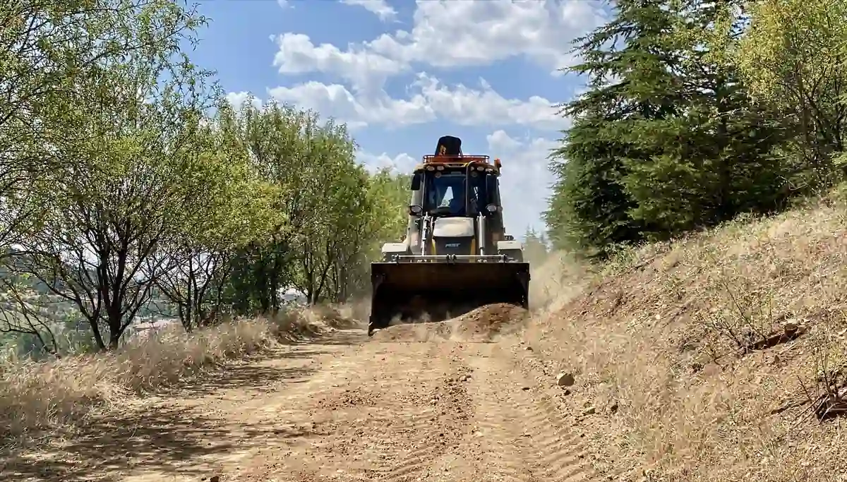 Hedef bozkırın ormanlarını korumak 