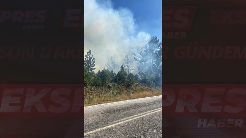 Kütahya’da orman yangınında failler araştırılıyor 
