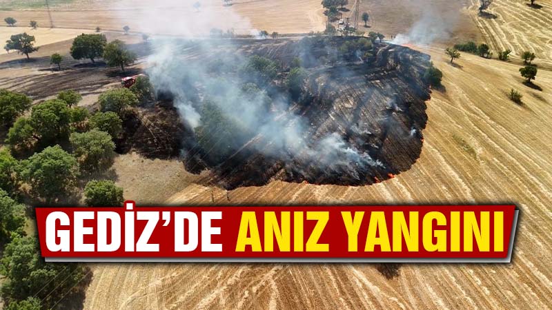 Kütahya’da ağaçlık alana sıçrayan anız yangını söndürüldü