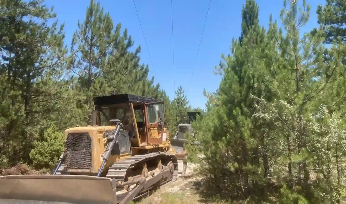 Kütahya’da orman yangınları ile