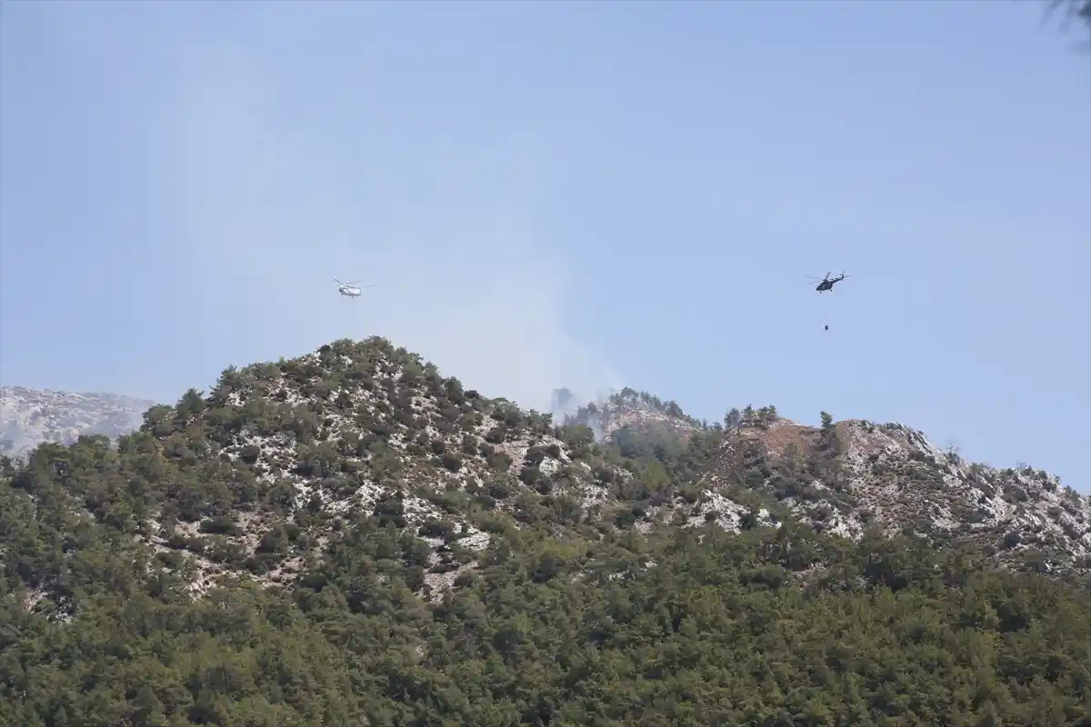 Muğla’nın Milas İlçesinde İkinci Orman Yangını Söndürüldü