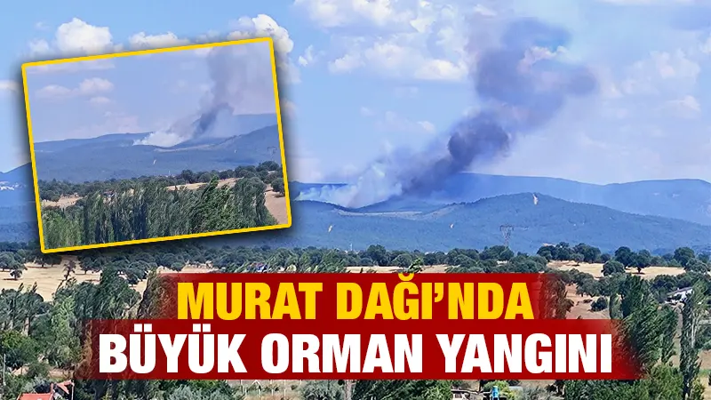 Kütahya’da ormanlık alanda çıkan yangına müdahale ediliyor