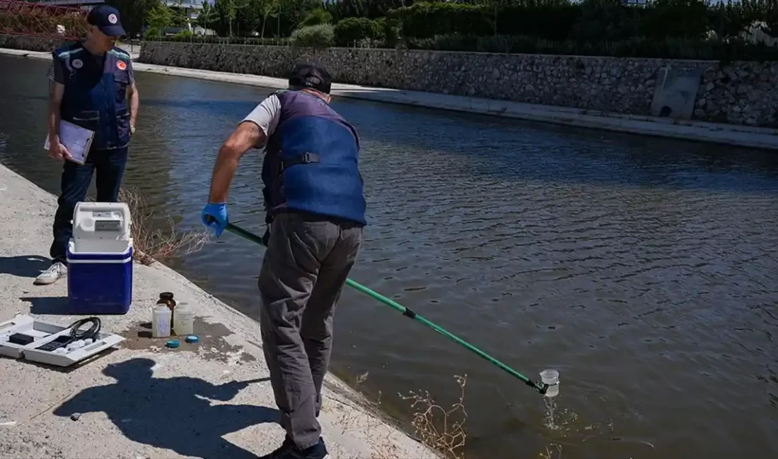 İzmir Körfezi'nde meydana gelen