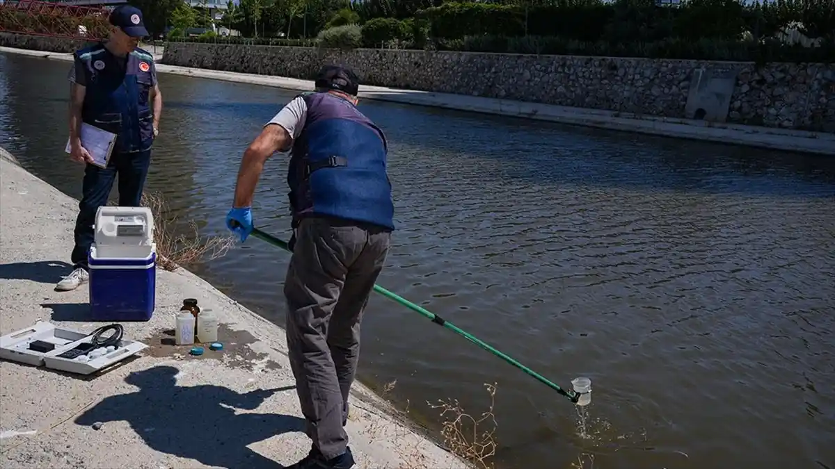 İzmir Körfezi’nde Balık Ölümleri Üzerine Yoğun Denetimler Yapılıyor