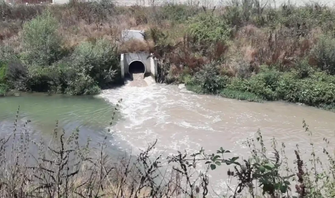 Bolu'da çevre kirliliğine karşı