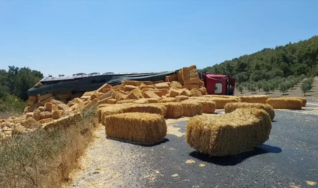 Denizli'nin Buldan ilçesinde saman