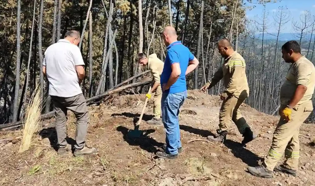 Karabük'ün Ovacık ilçesinde kontrol