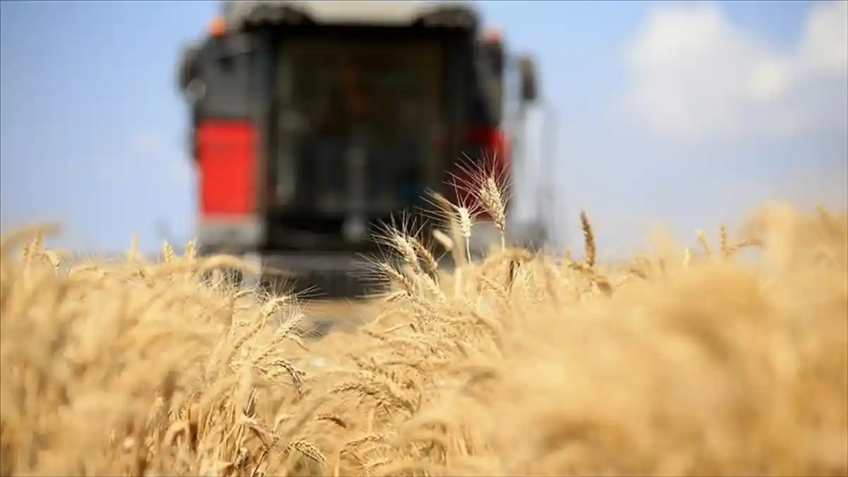 Küresel gıda fiyatları temmuzda da değişim göstermedi