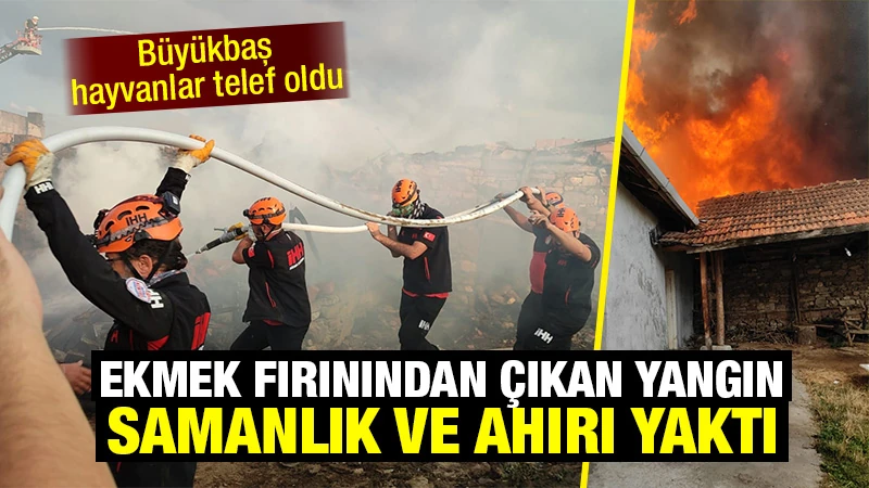 Kütahya'da ekmek fırınında çıkıp