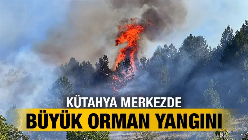 Kütahya’da büyük orman yangını