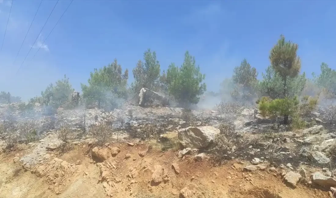 Mersin'in Silifke ilçesinde 4