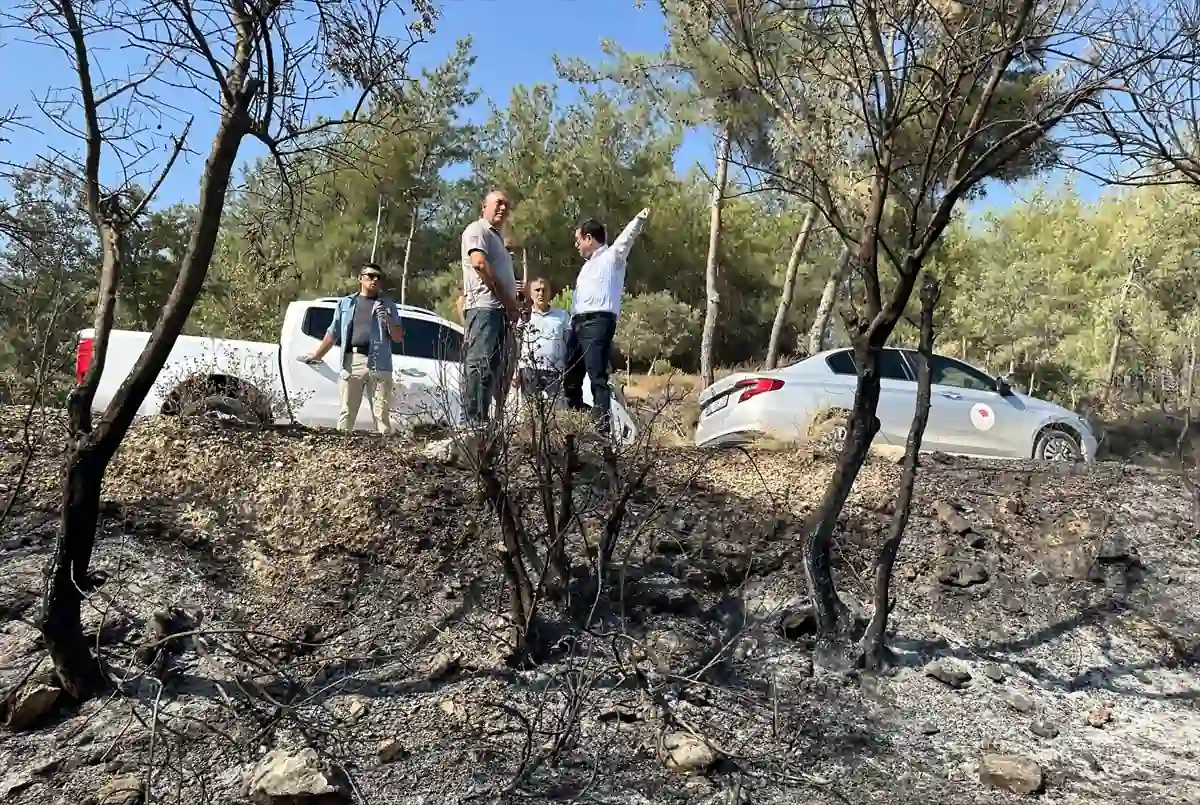 Muğla’daki orman yangınında 131 dekar tarım alanı zarar gördü