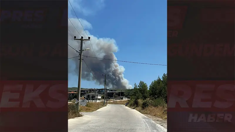 Muğla'nın Menteşe ilçesinde orman yangını çıktı