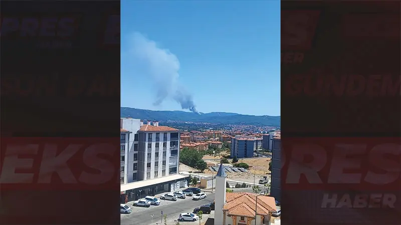 Muğla’nın Menteşe ilçesinde orman yangını çıktı