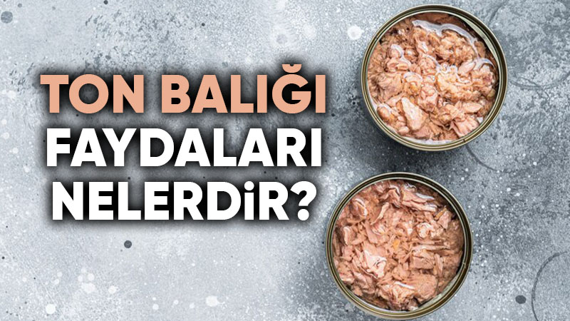 Ton Balığı Faydaları Nelerdir? Ton Balığı Yemek Sağlıklı mı?