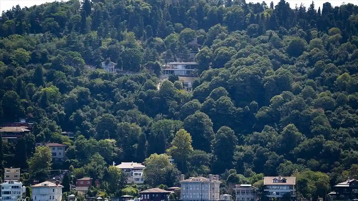 Üsküdar Vaniköy’deki izinsiz inşaatta inceleme yapılıyor