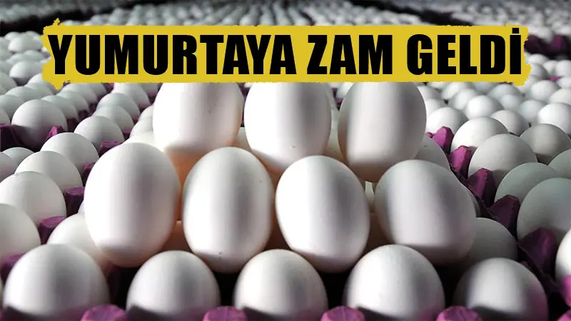 Yumurta fiyatlarına zam geldi