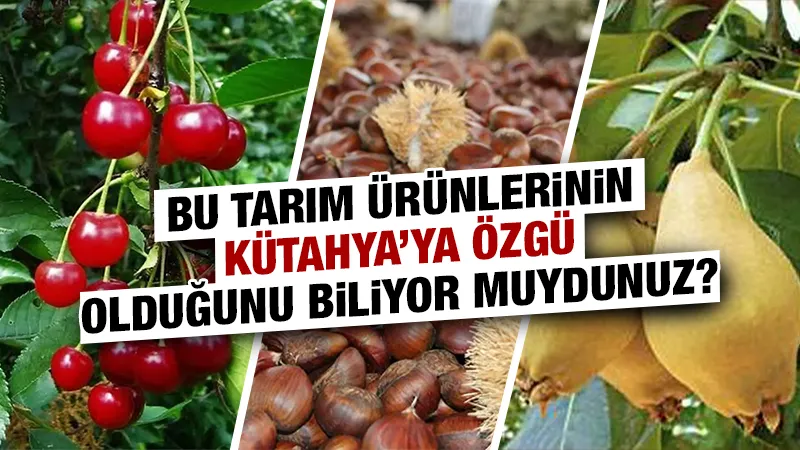 Bu tarım ürünlerinin Kütahya'ya