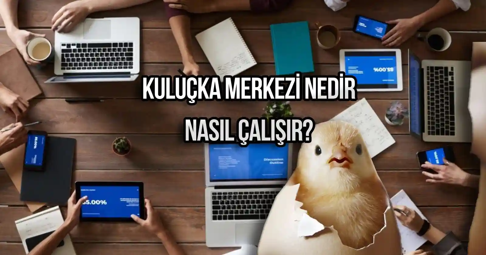 Kuluçka merkezi nedir ve nasıl çalışır?