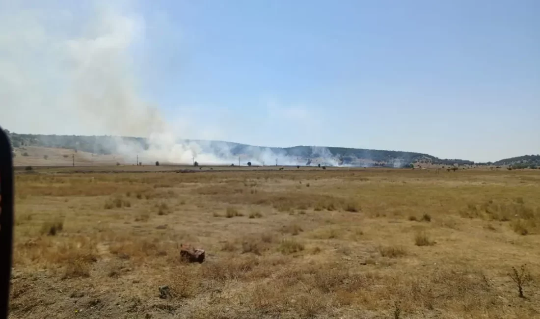 Kütahya’da demir yolu hattında