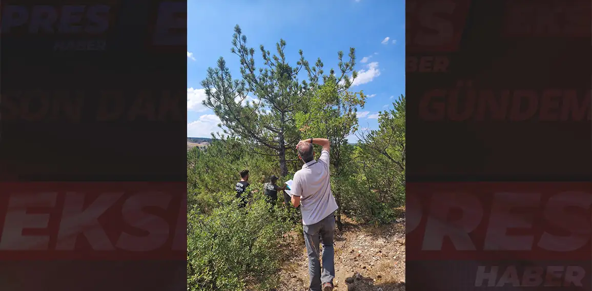 Kütahya’da ormanlar ve hava kirliliği denetlendi 