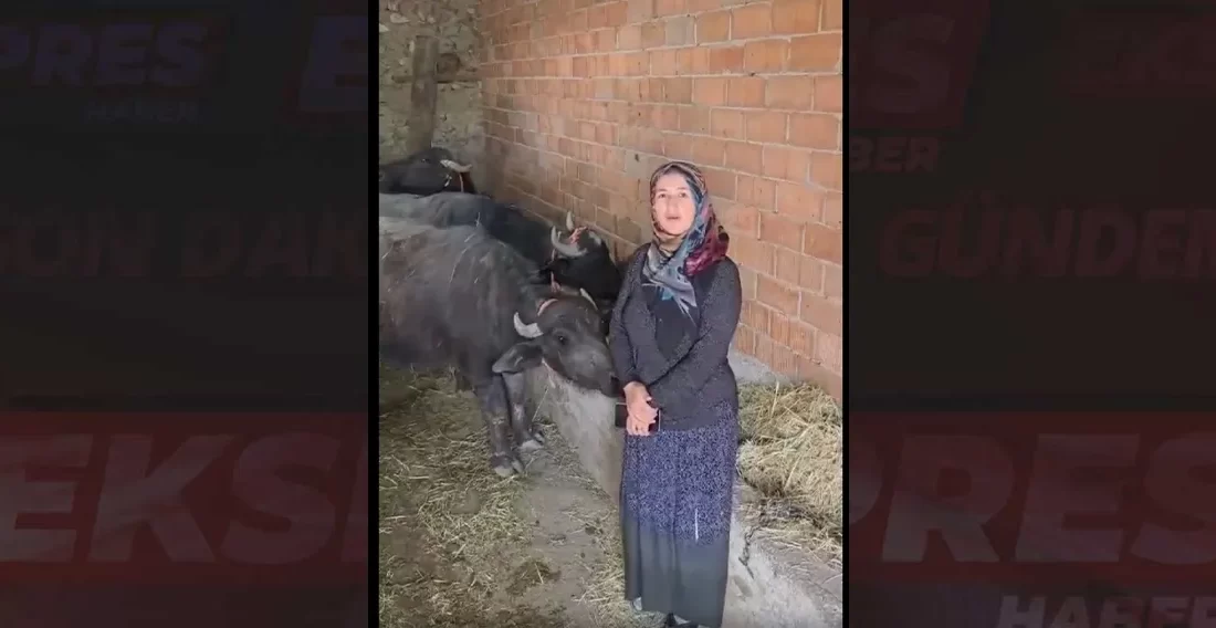 Kütahya’da ekonomik getirisi yüksek