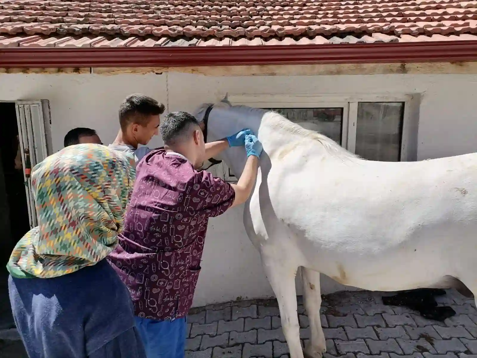 Kütahya’da zoonoz hastalığı tedbirleri alındı 