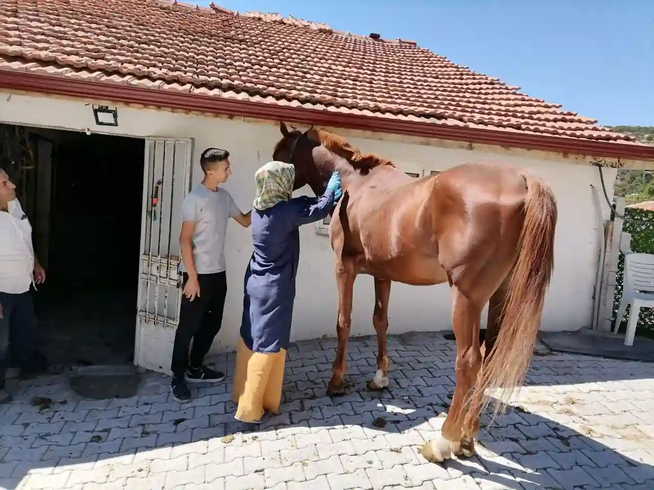 Kütahya’da zoonoz hastalığı tedbirleri alındı 