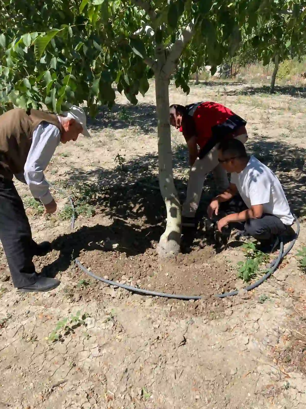 Kütahya'da ilçelerde bahçe denetimleri yapıldı 