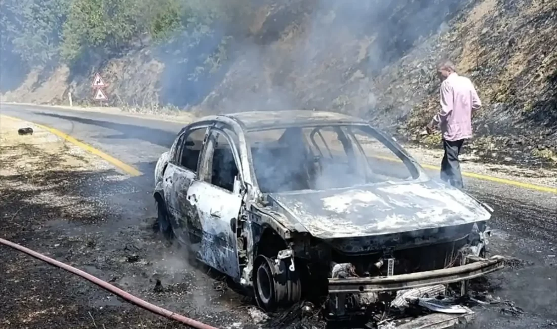 Aydın'ın Buharkent ilçesinde seyir