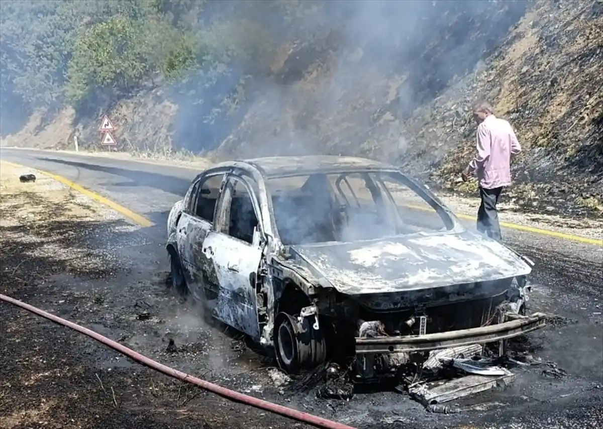 Aydın’da Otomobilde Başlayıp Ormana Sıçrayan Yangın Kontrol Altına Alındı